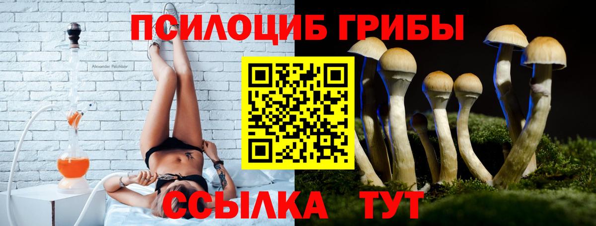 Галлюциногенные грибы Cubensis Гусиноозёрск