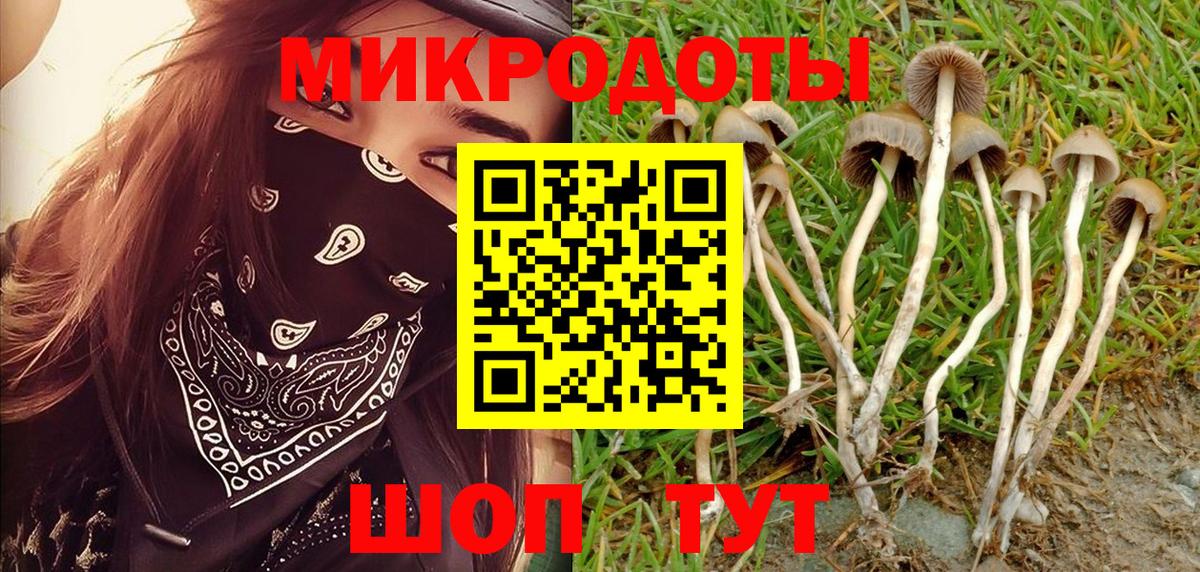 Гусиноозёрск  Псилоцибиновые грибы MAGIC MUSHROOMS  Галлюциногенные грибы мухоморы  Вход с VPN 